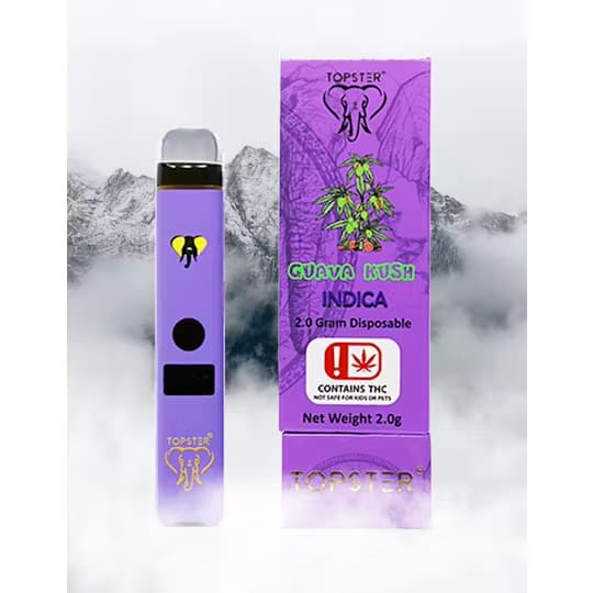 Topster Guava Kush - Topster Disposable