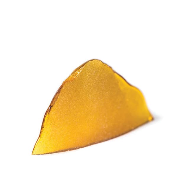 Nomad / CSC Nomad Shatter Bucket 4g; Don Carlos