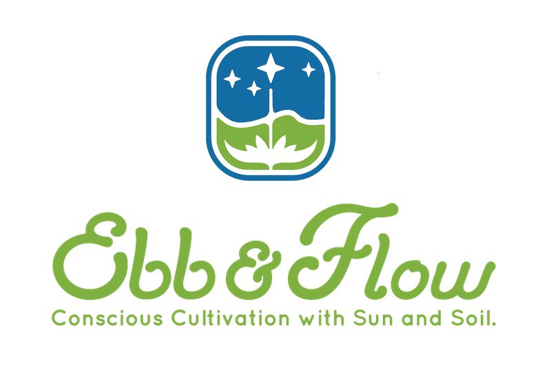 Ebb & Flow Cosmic Temple | Ebb & Flow Farm