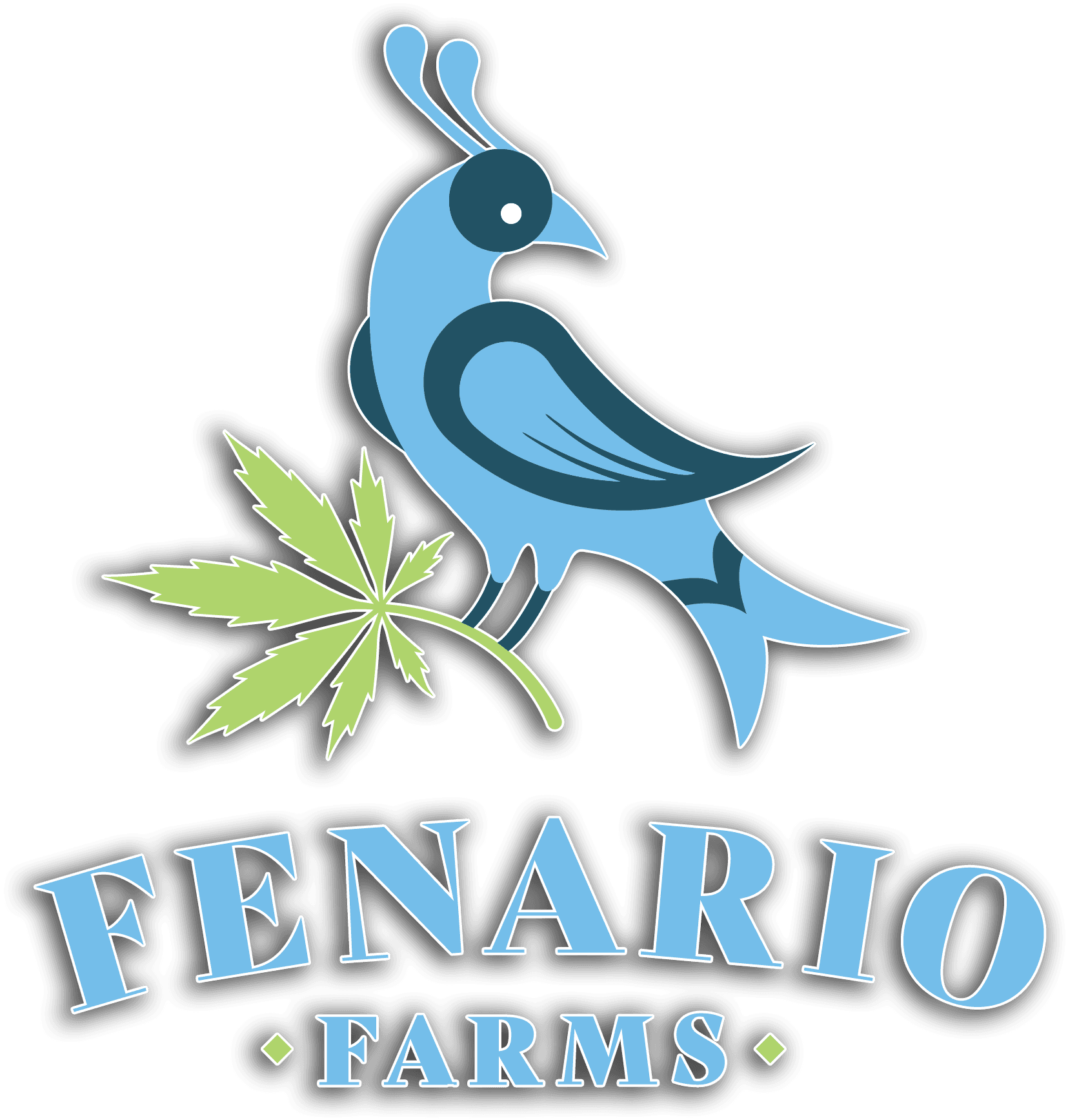 Fenario Farms Mushroom Swiss