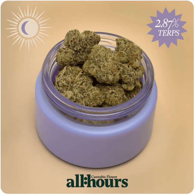 all:hours all:hours Air Hdz 41510