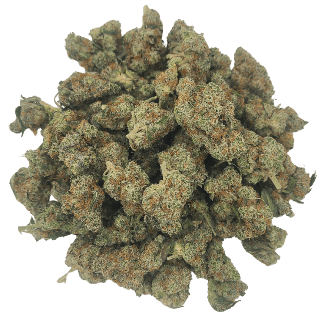 Six Labs Six Labs | Garlic Crusher