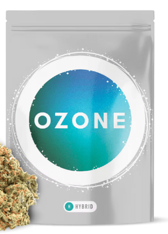 Ascend - Ozone Banana Daddy | 3.5g