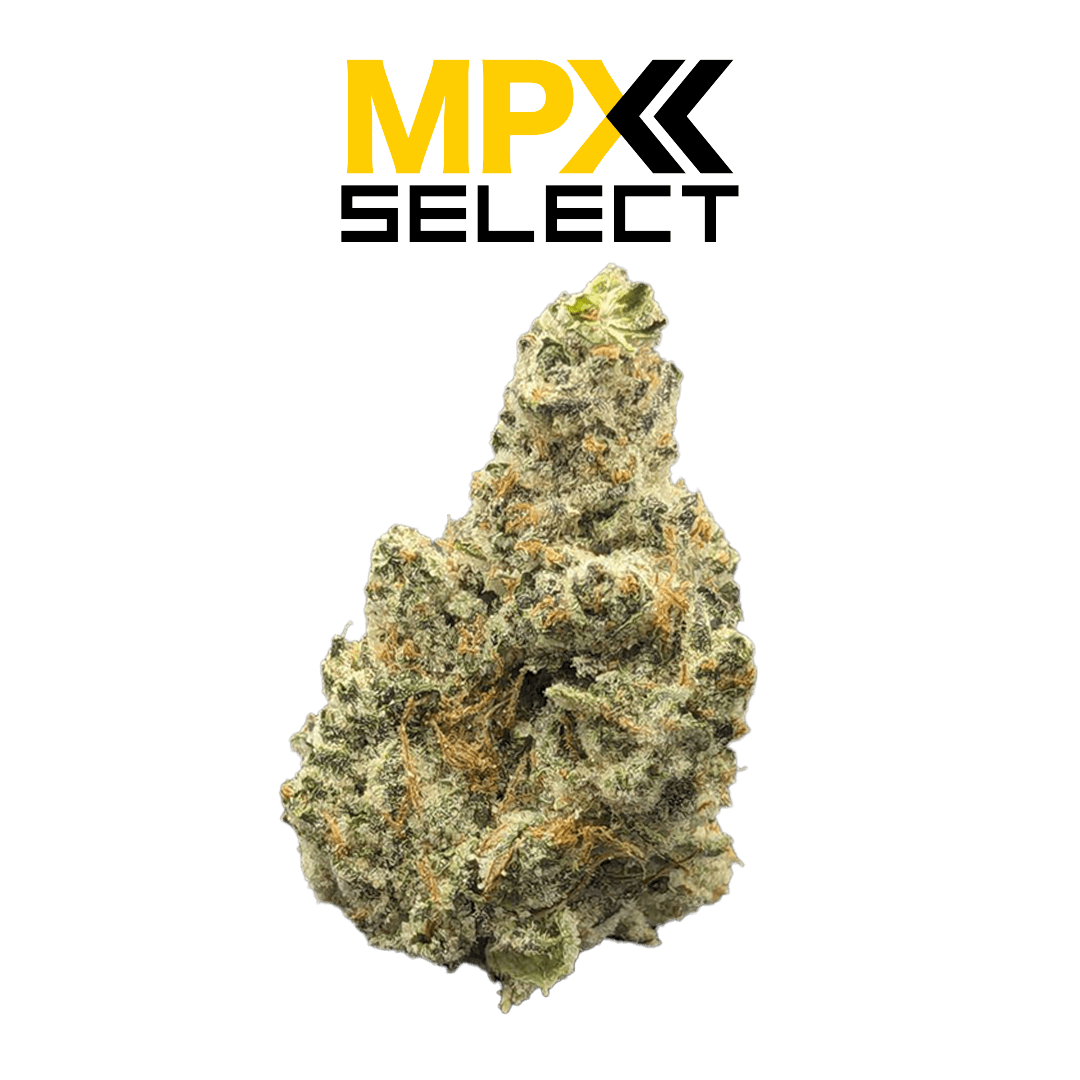 MPX Select Flower MPX Select Strawberry Limeade Flower