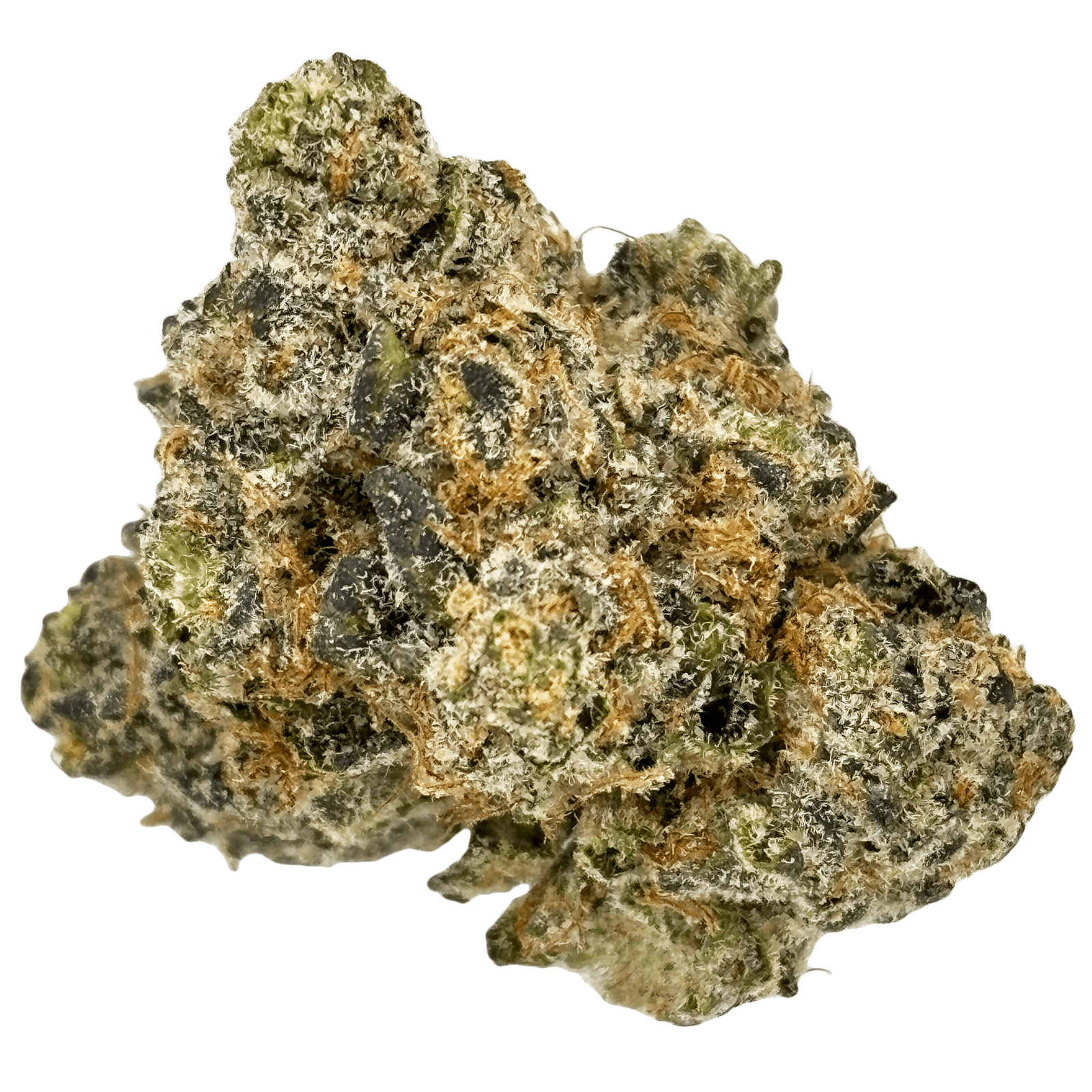 BUDHUB