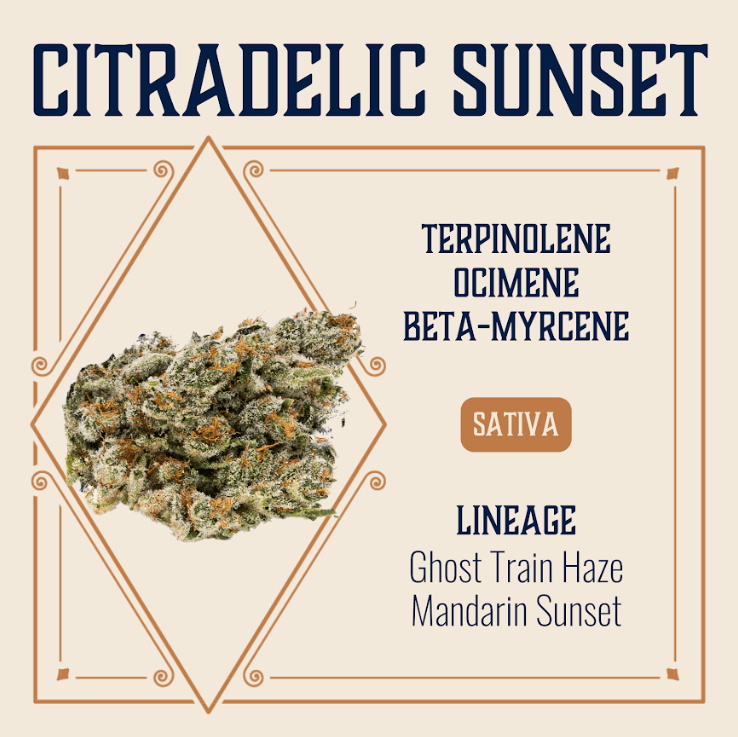 Elevate - Elevate Flower | Elevate | Citradelic Sunset