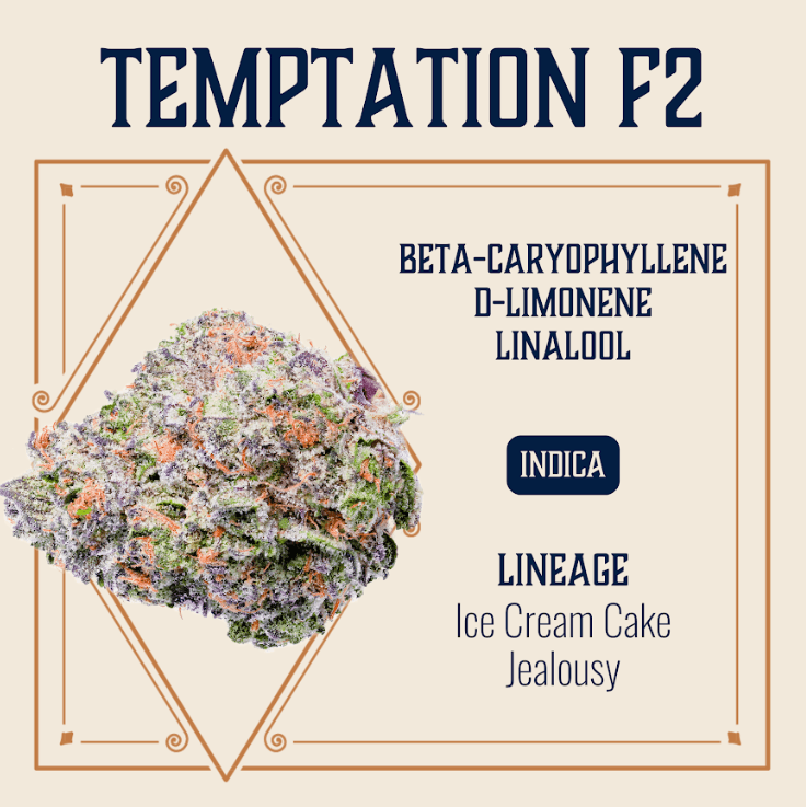 Elevate - Elevate Flower | Elevate | Temptation F2