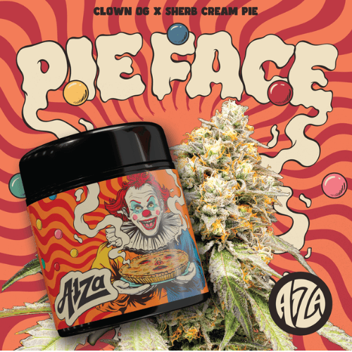 A1ZA Pie Face - 14g