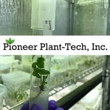 Pioneer Plant-Tech
