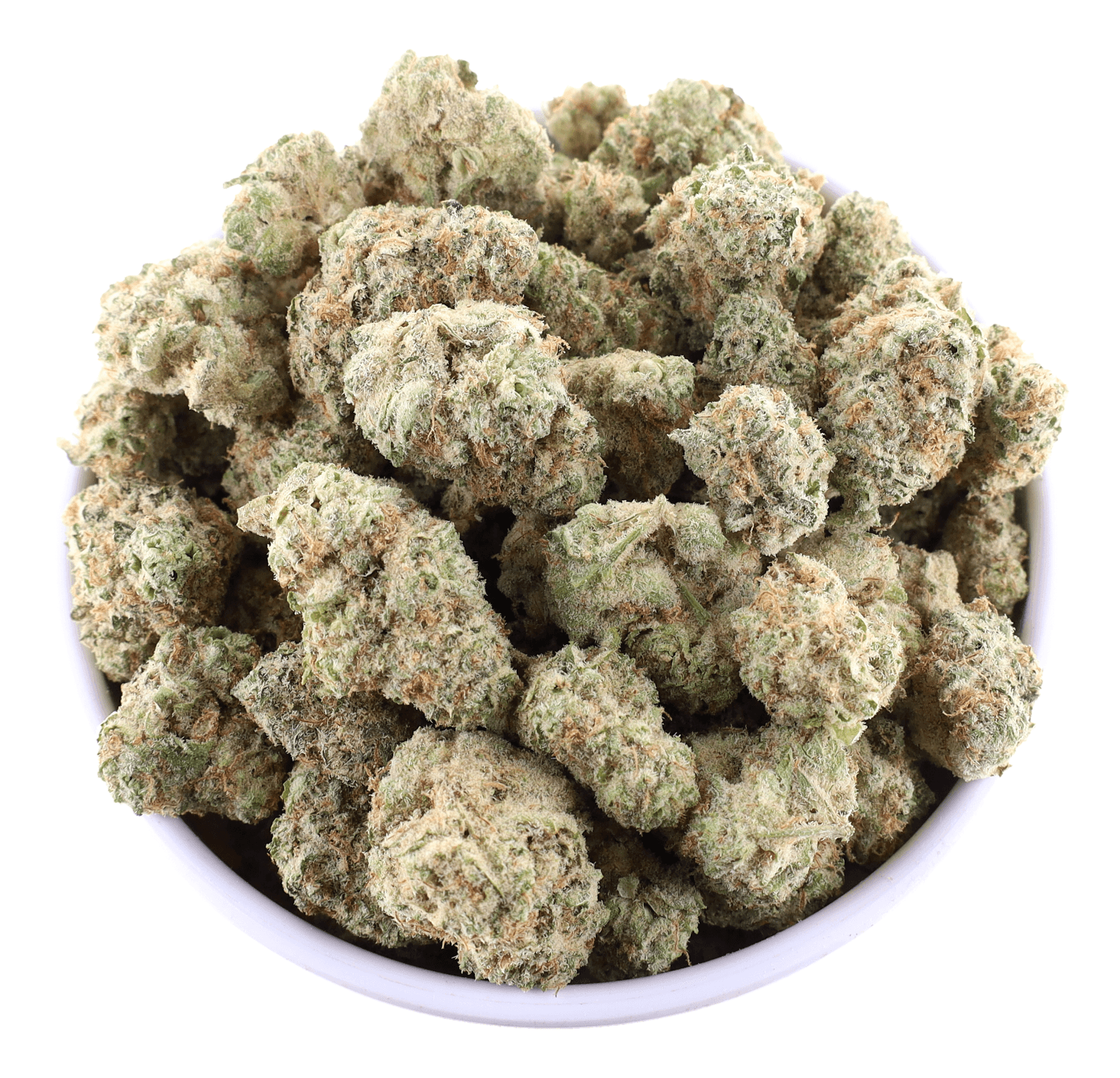 G High Joe