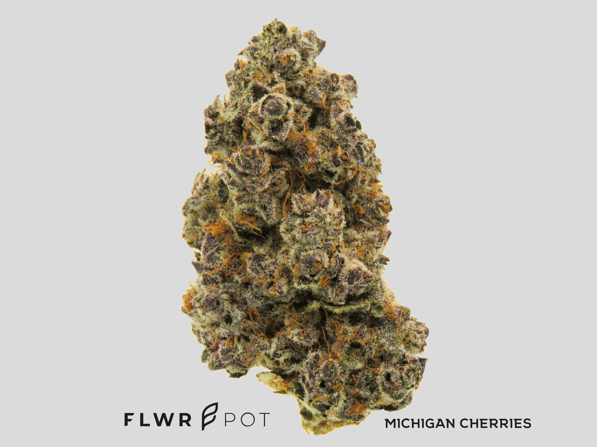FLWR Pot