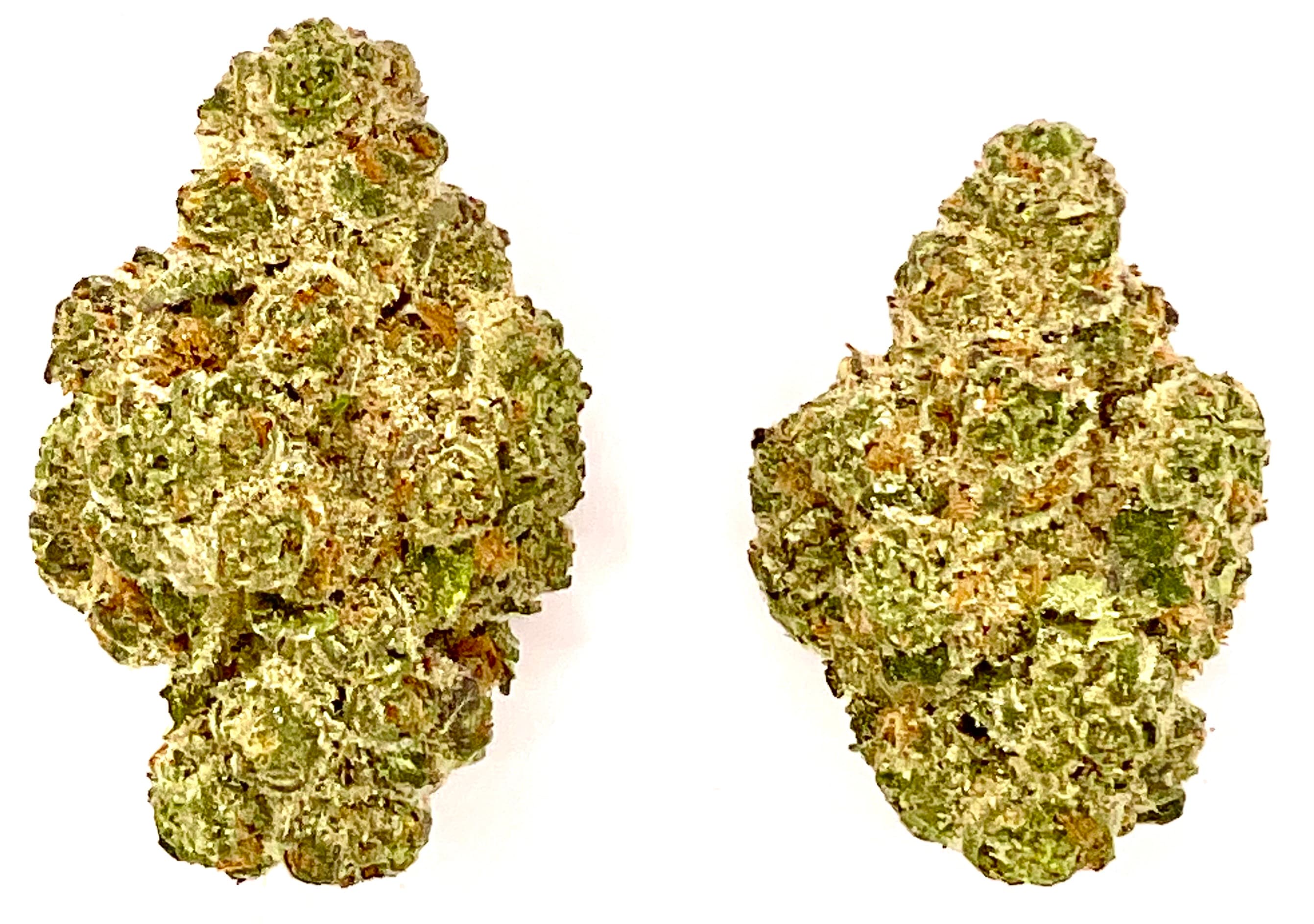 MT Kush Buds | Lato Berry