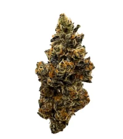 Wheelchair Weed Craft
