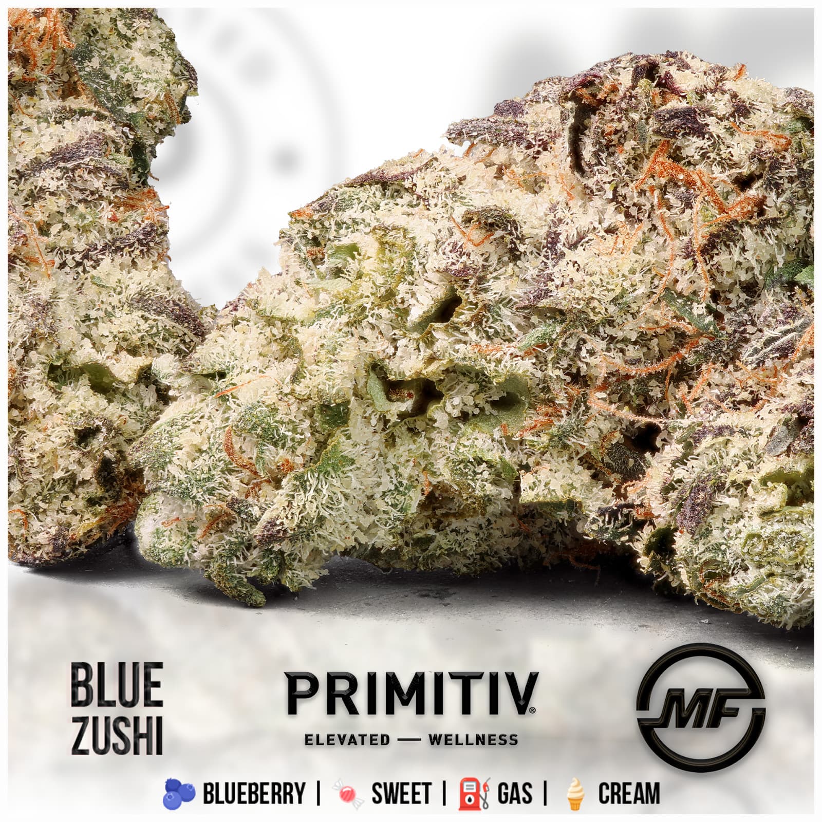 Primitiv Primitiv | Blue Zushi