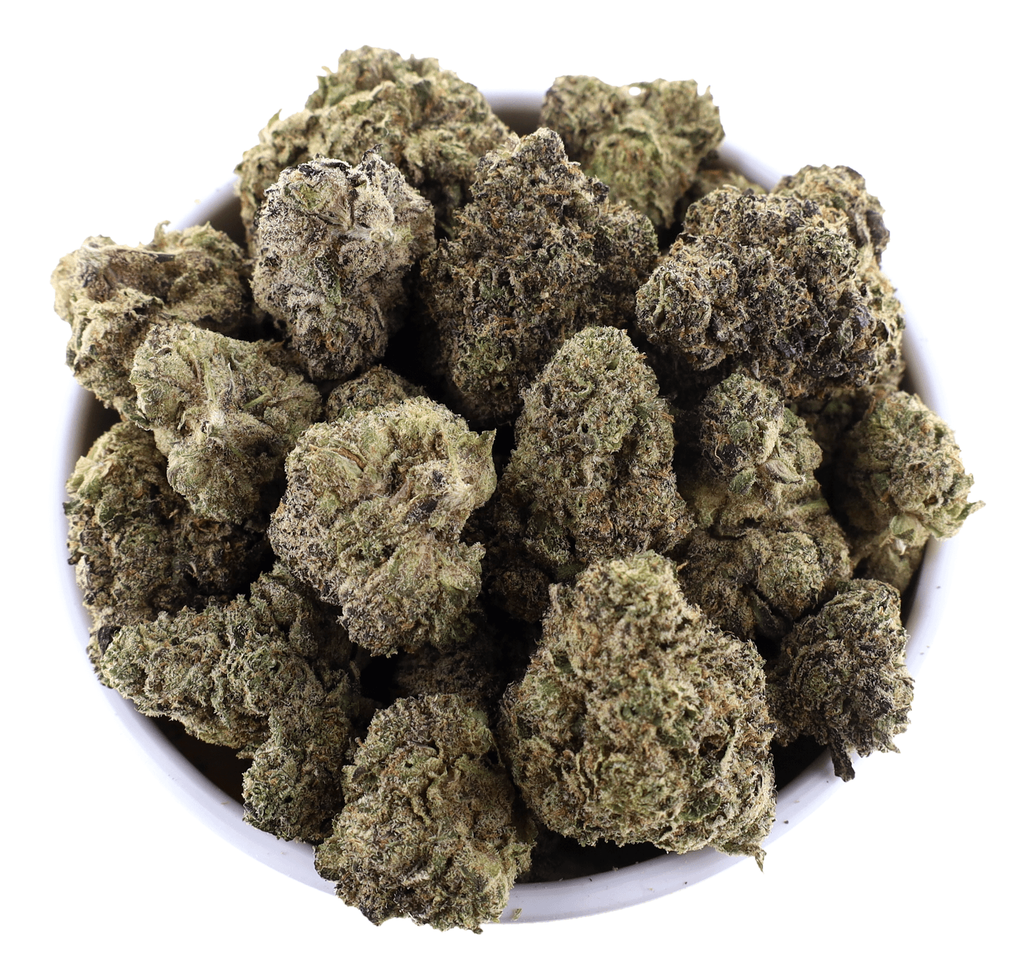 G High Joe