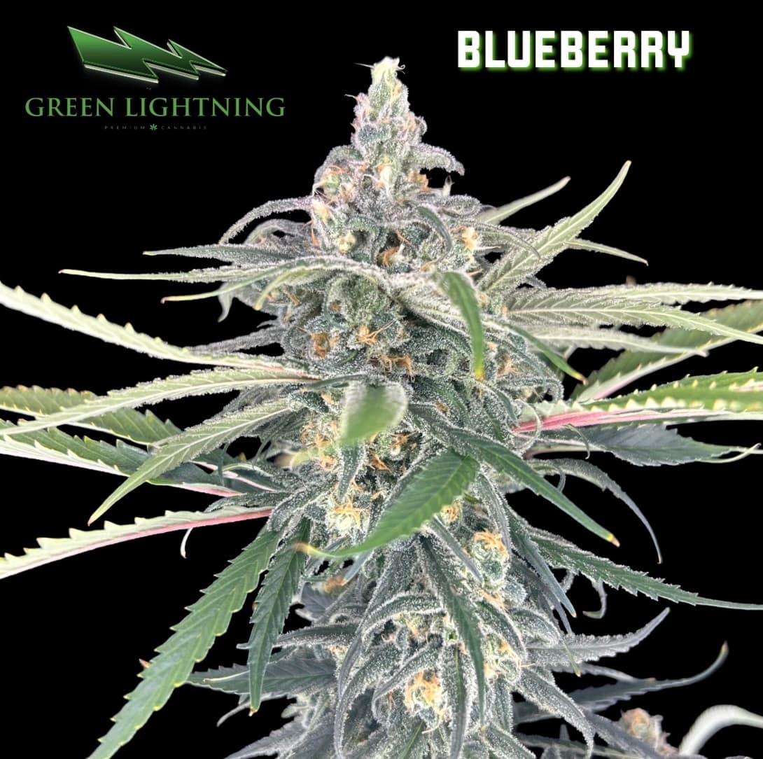GREEN LIGHTNING