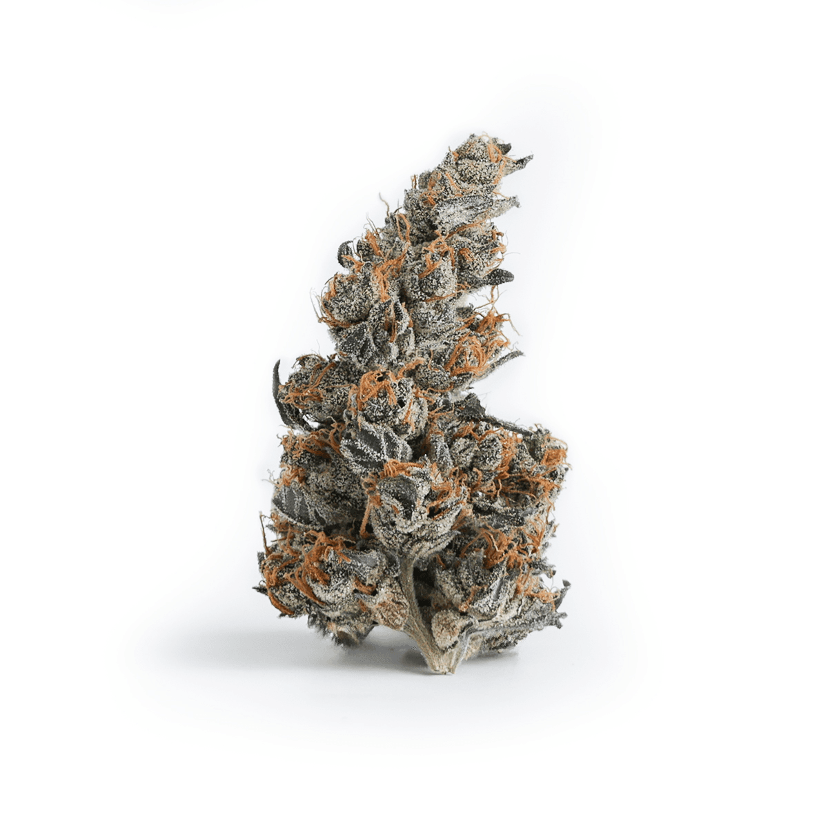 Emerald Gardens Choice Sugar Rush