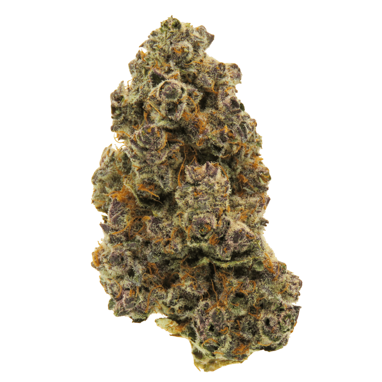 FLWR Pot