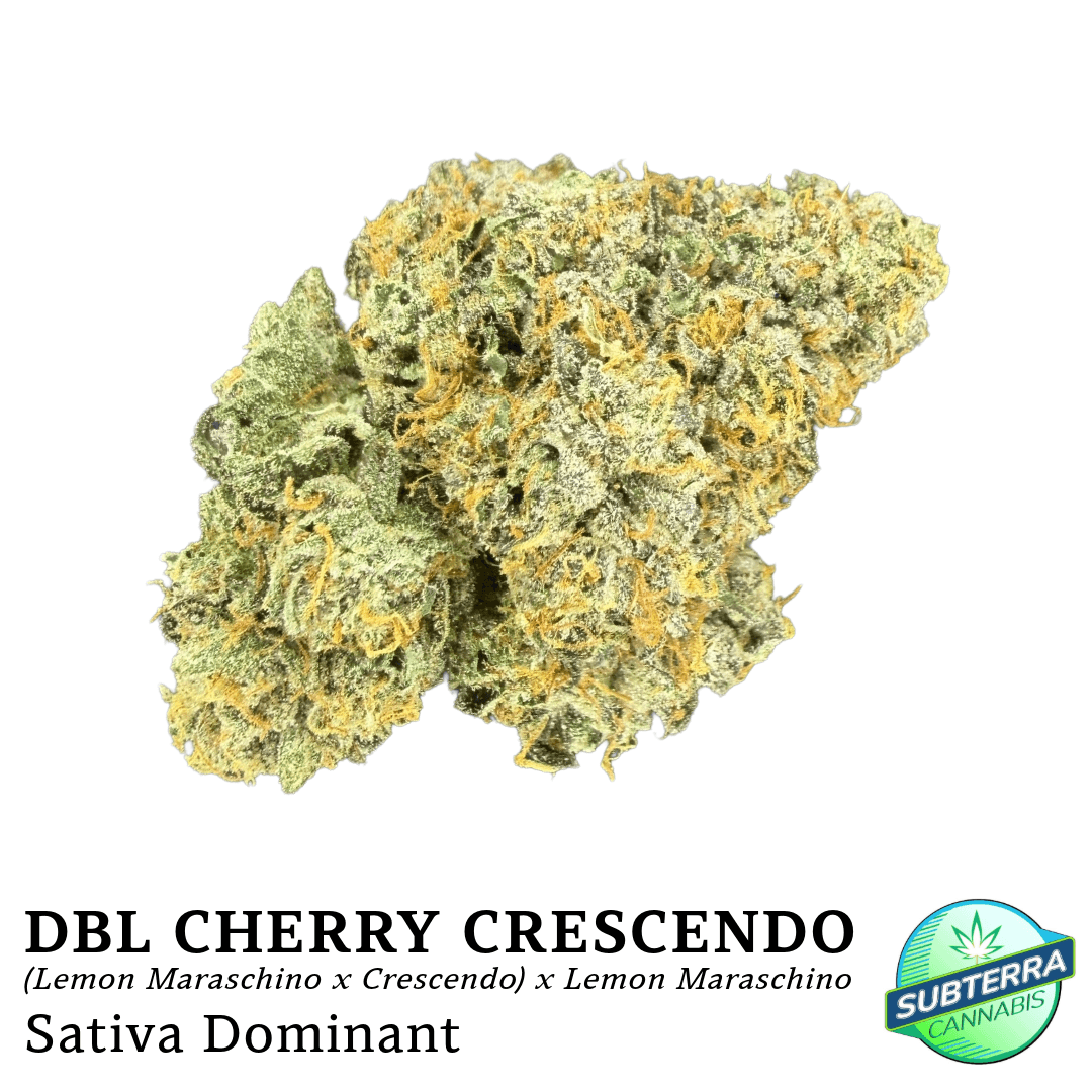 Subterra Cannabis Double Cherry Crescendo