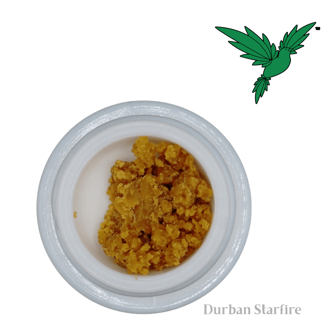 Green Treets Focus Bucket - Durban Starfire Sugar Wax