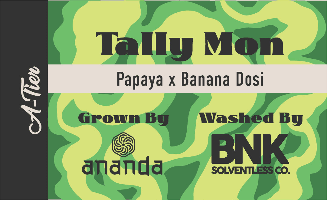 Bo's Nose Knows Rosin Batter 'A Tier' | Tally Mon