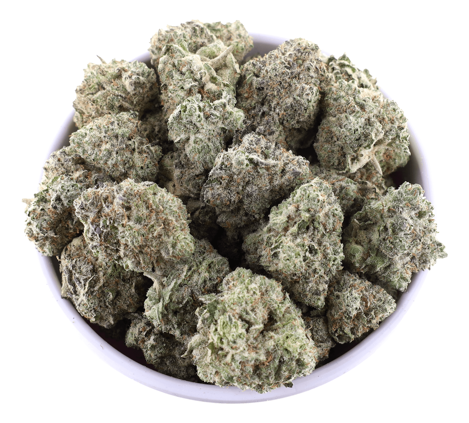 G High Joe