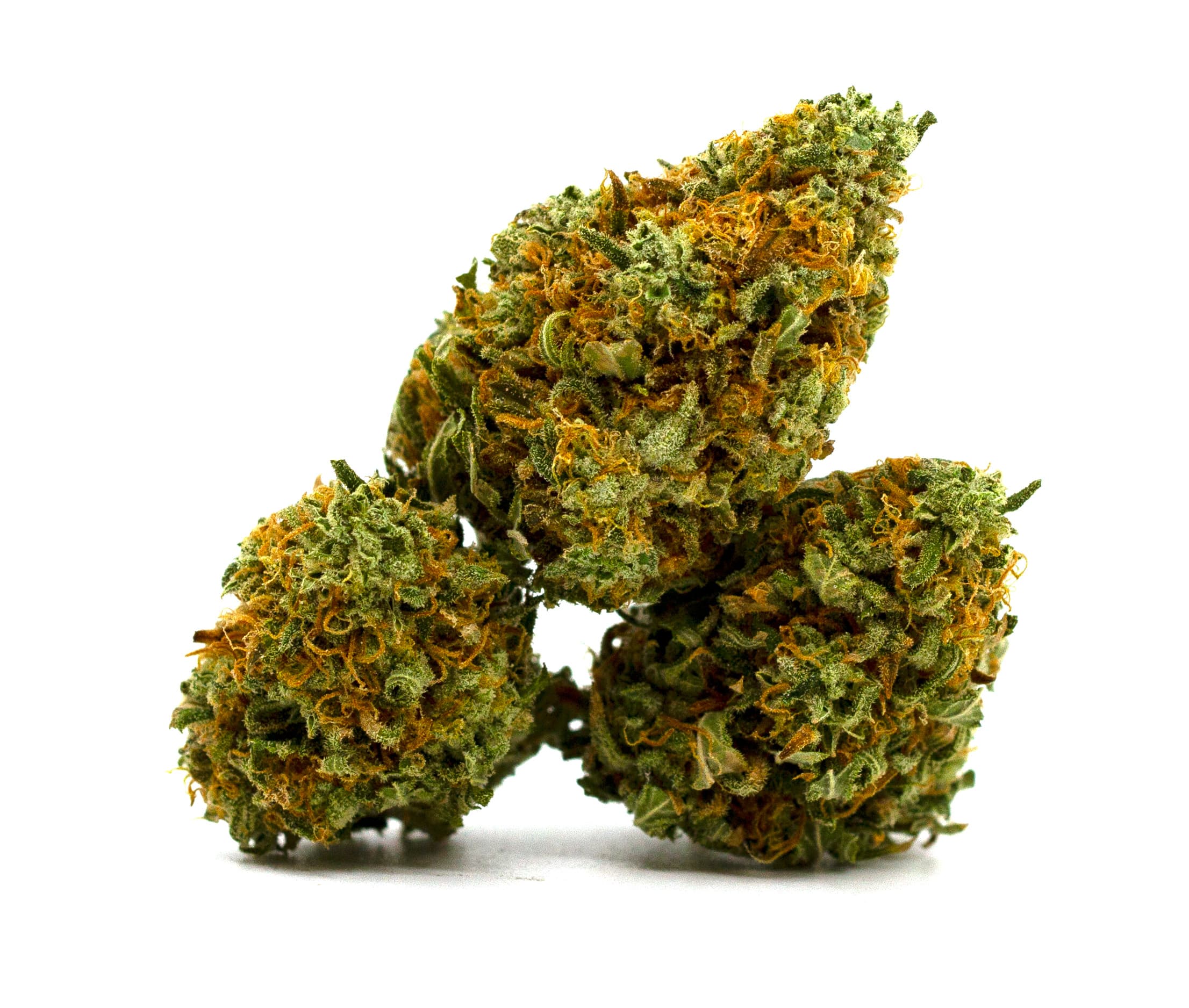 Six Labs G13 Skunk - 1g - Six Labs - 27.72%
