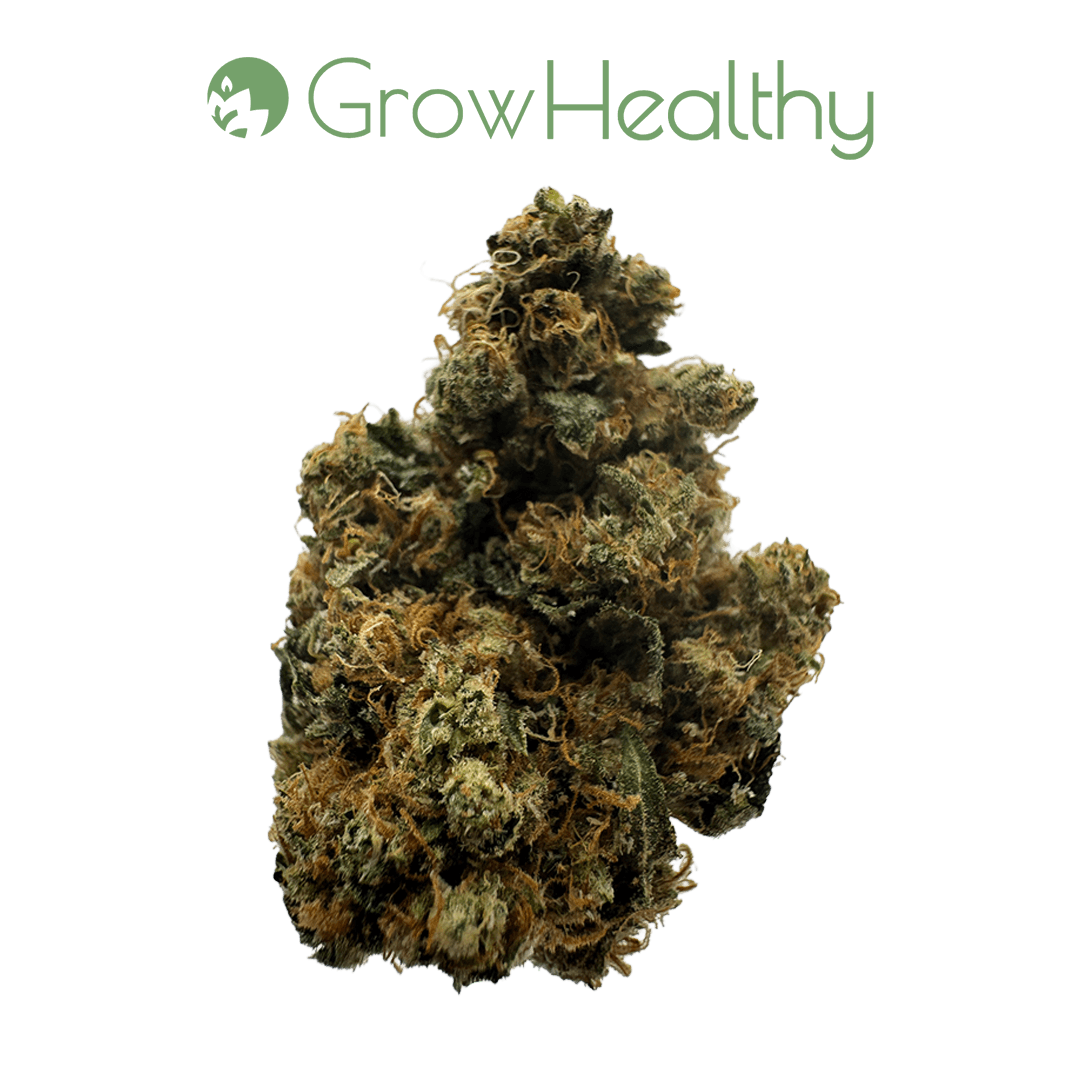 GrowHealthy Sour Diesel GMO Flower