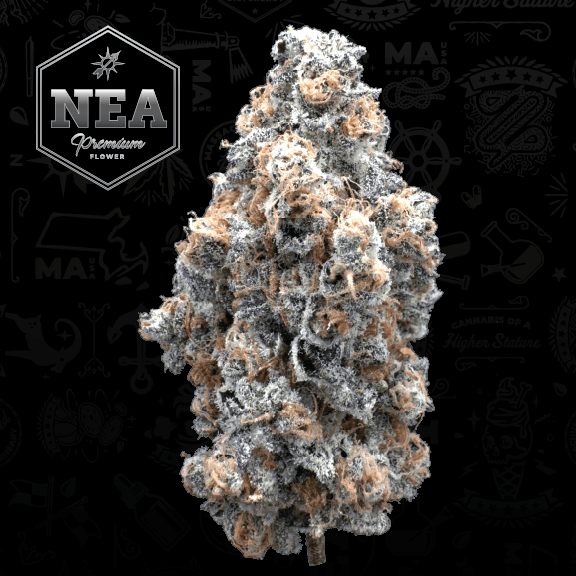 NEA Premium
