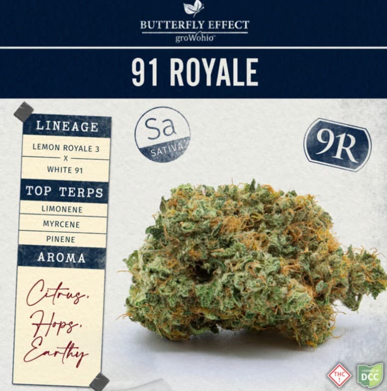 Butterfly Effect by Grow Ohio