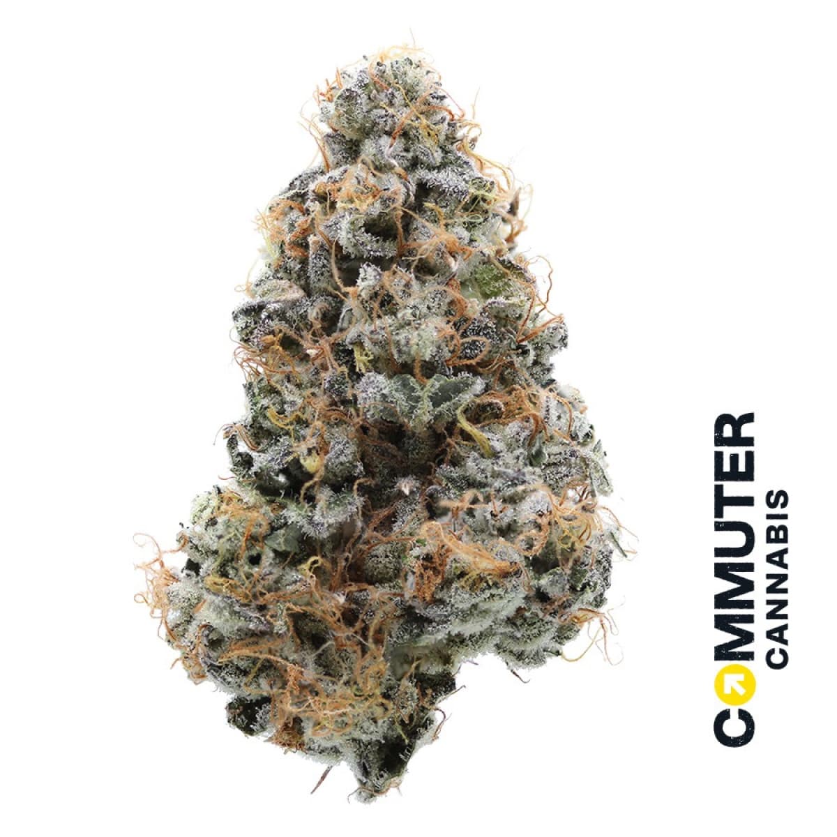 Commuter Pavé | Flower | 3.5g