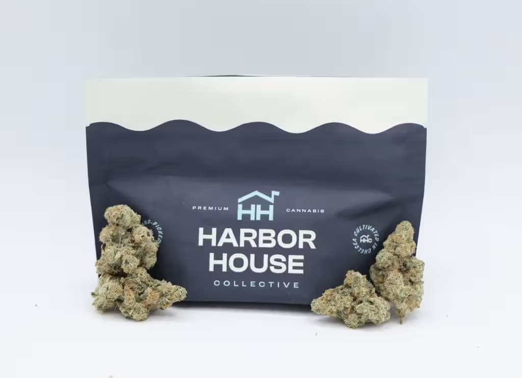 Harbor House Collective Astronaut Status #24