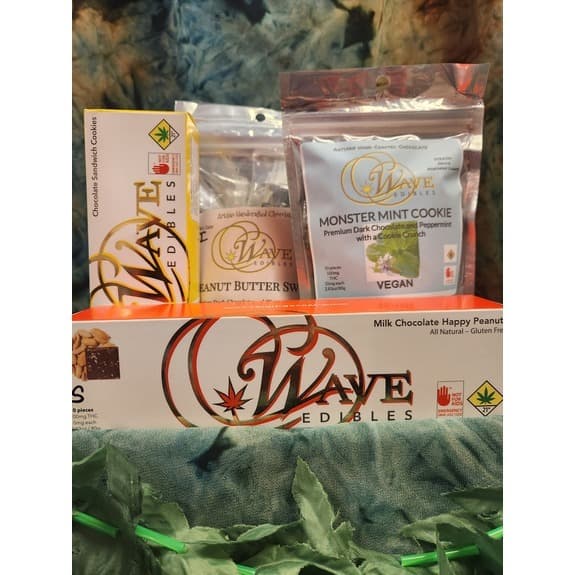 WAVE Fizzy Orange Float (H)