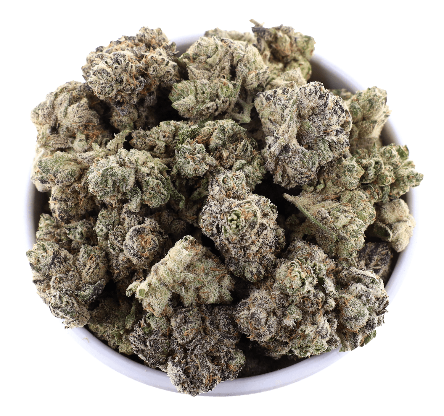 G High Joe