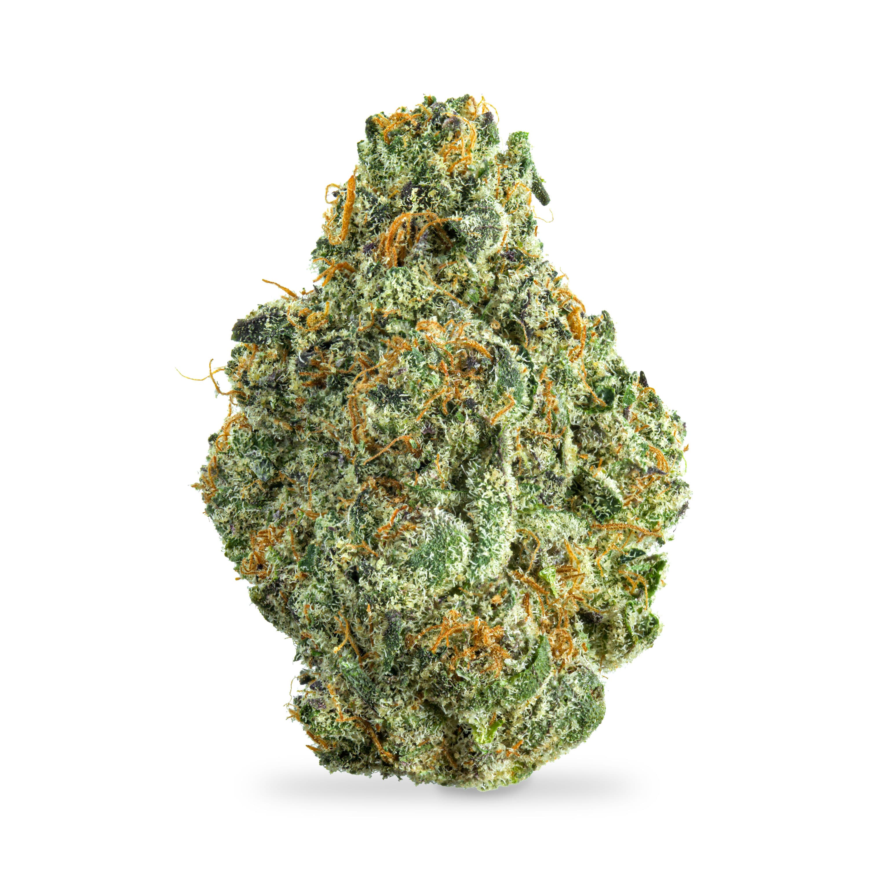 Botapharms Jelly Cake - Smalls