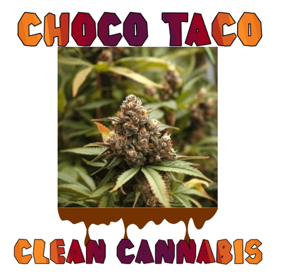 Clean Cannabis