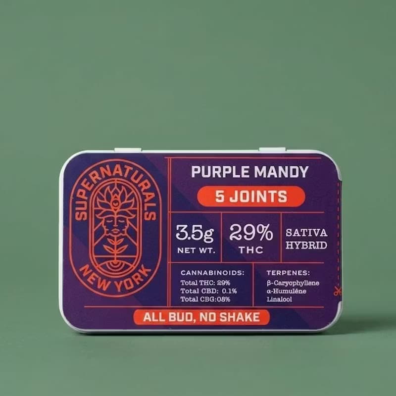 Supernaturals PURPLE MANDY | 5-Pack