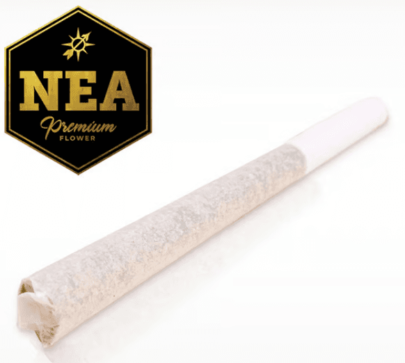 Northeast Alternatives Doughboy OG Pre Roll
