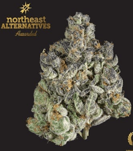 Northeast Alternatives Kine Garlic Cookies - 3.5g Whole Flower