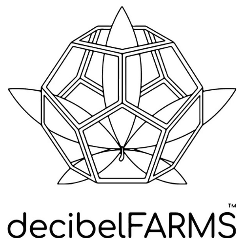 Decibel Papaya Frappe #7 Live Rosin