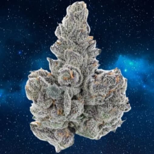 Zero Gravity Cannabis Blue Nova