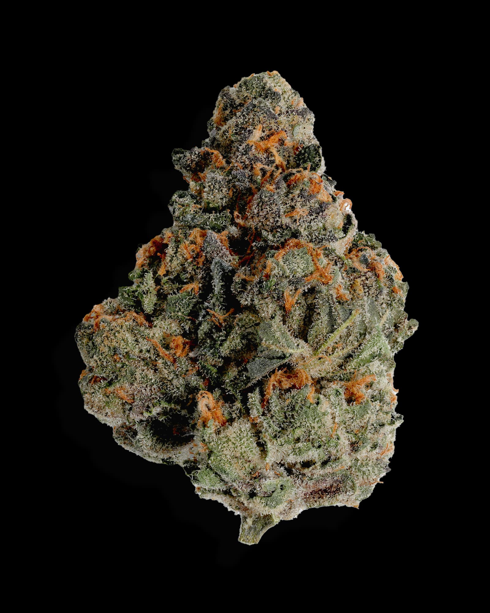 High Life Farms