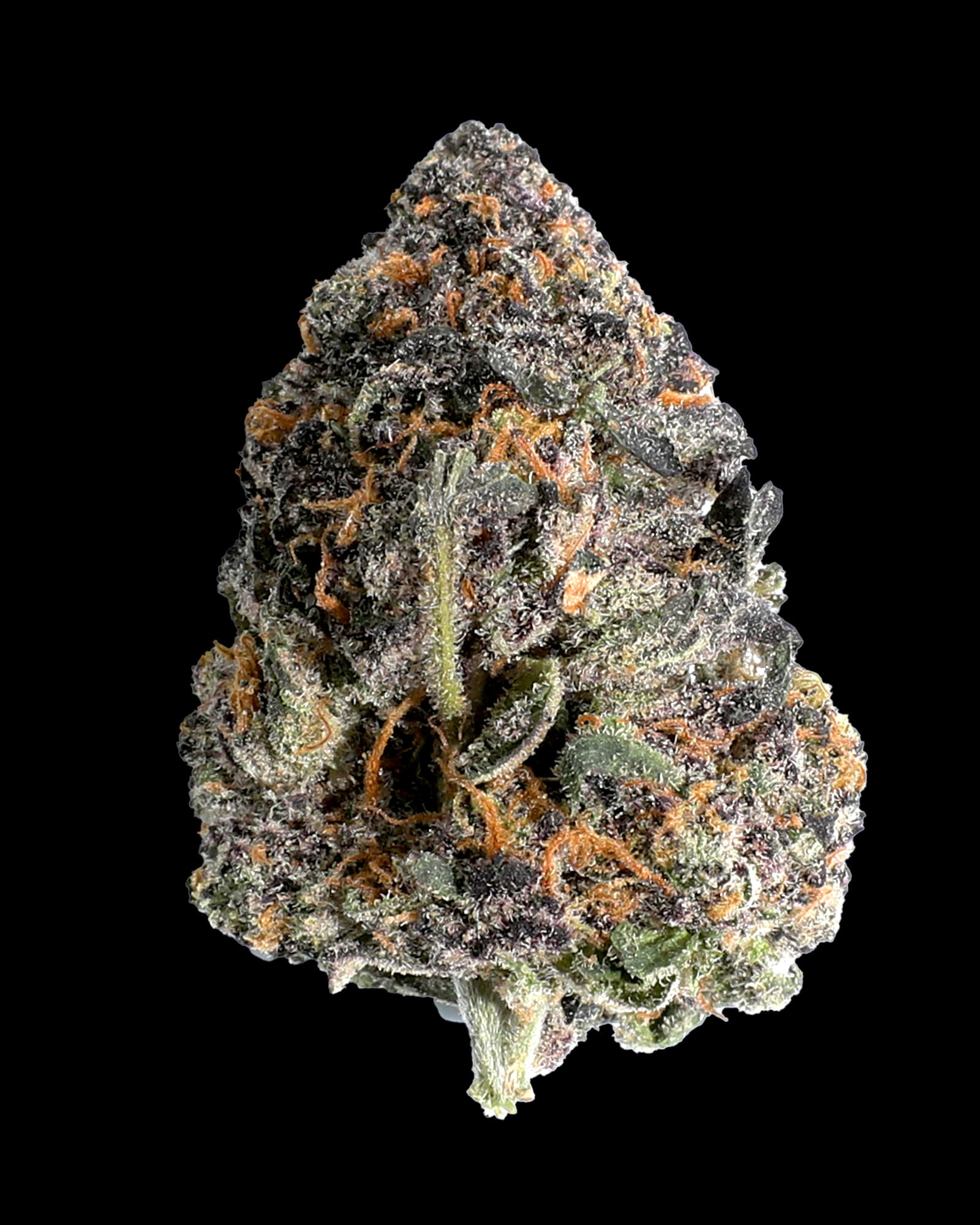 High Life Farms