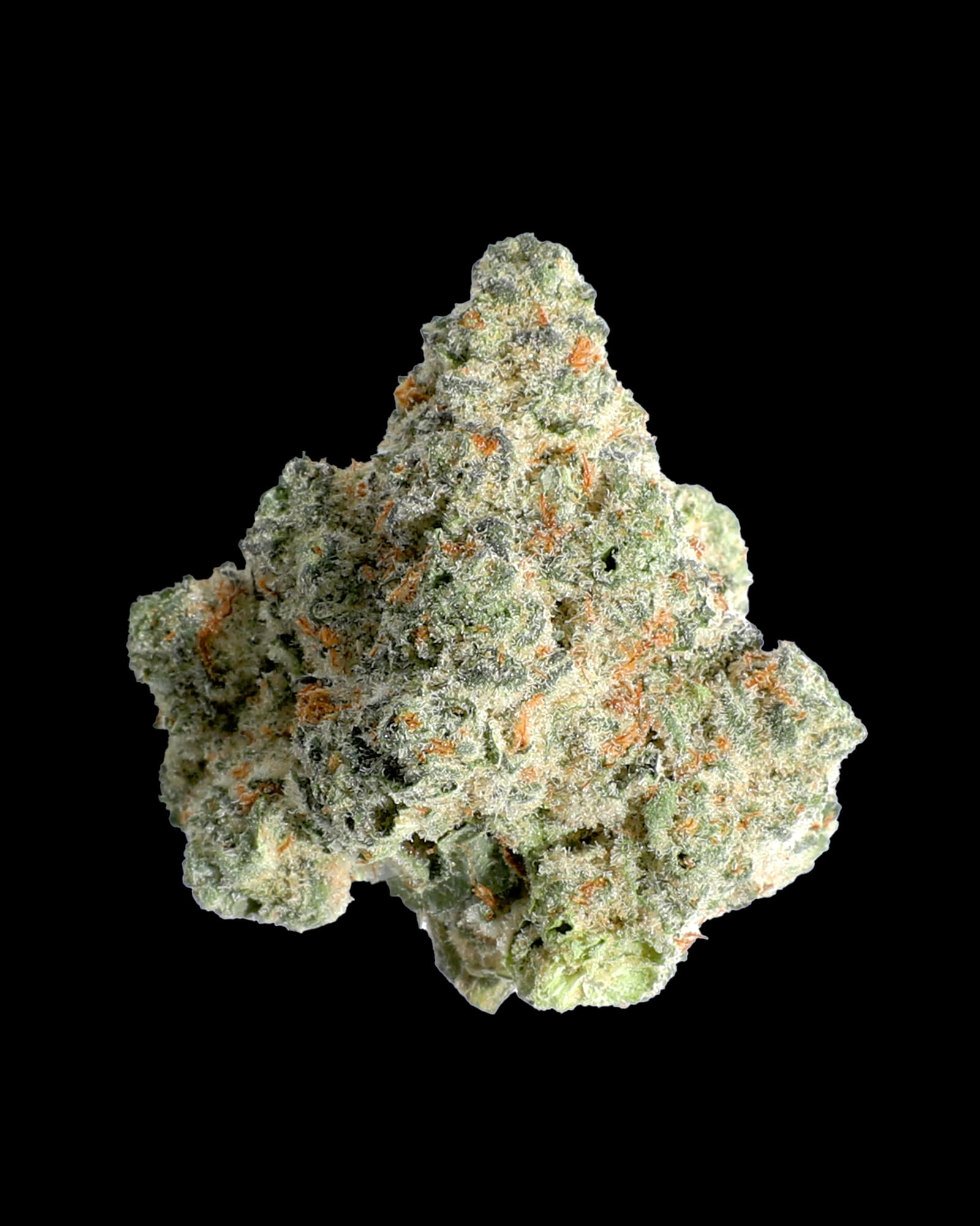 Holistic Industries JUICEE J 3.5G