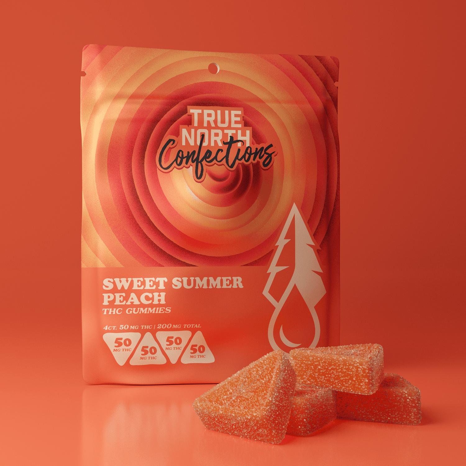 TRUE NORTH COLLECTIVE