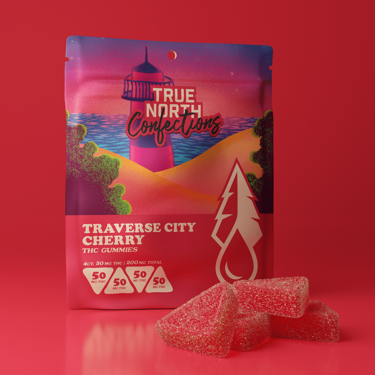 TRUE NORTH COLLECTIVE