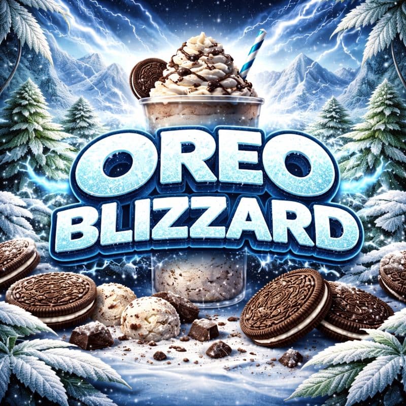 $79 Ounce Oreo Blizzard