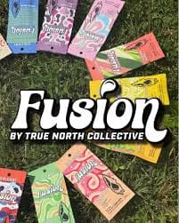 True North - Fusion