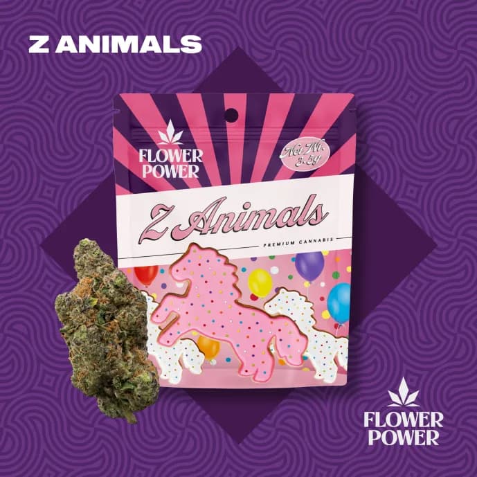 Flower Power
