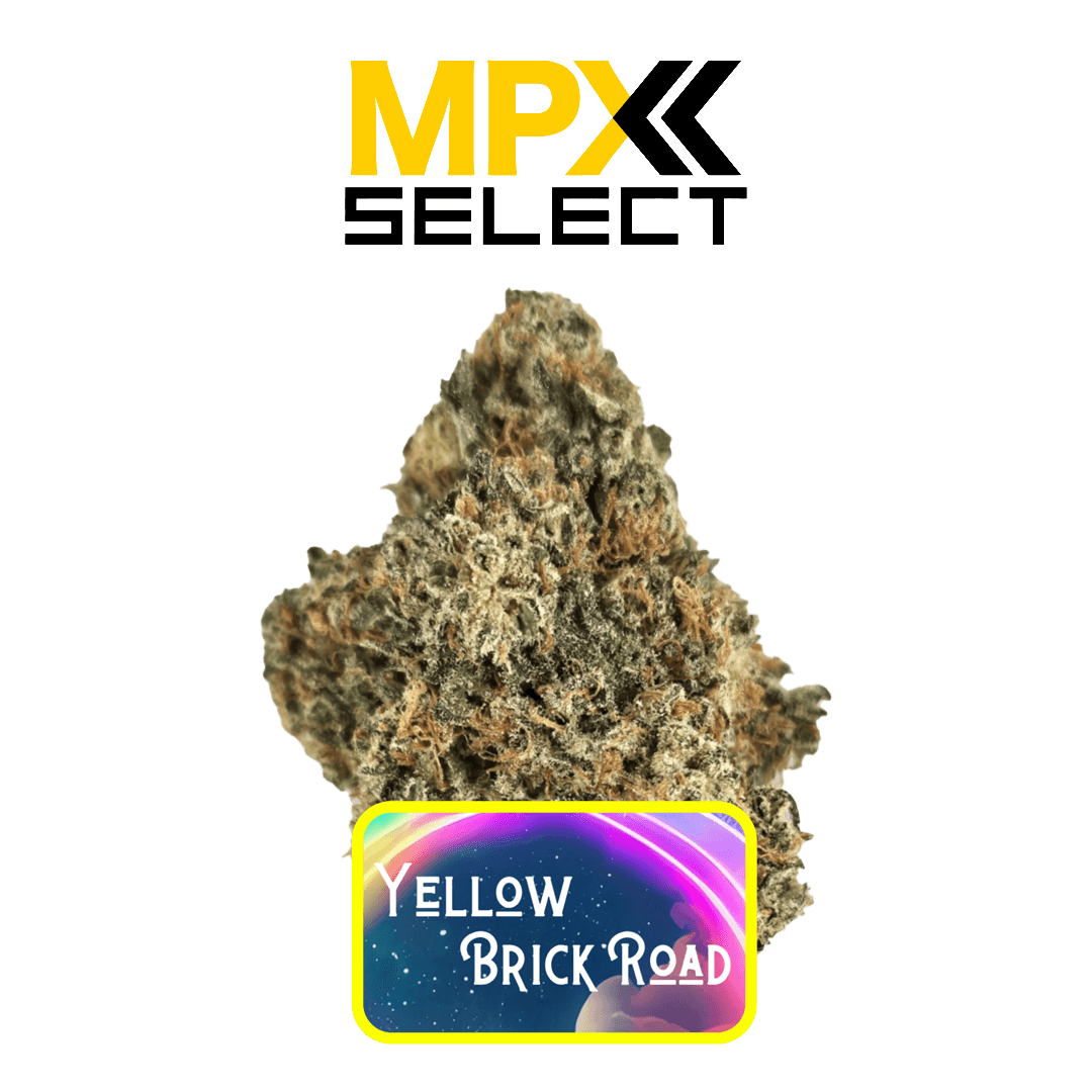 MPX Select Flower MPX Select Yellow Brick Road Flower